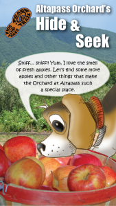 Altapass Orchard Hide & Seek Thumbnail
