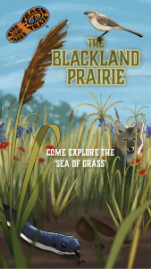 The Blackland Prairie Thumbnail