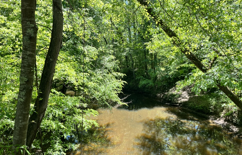 Creek off Trail
