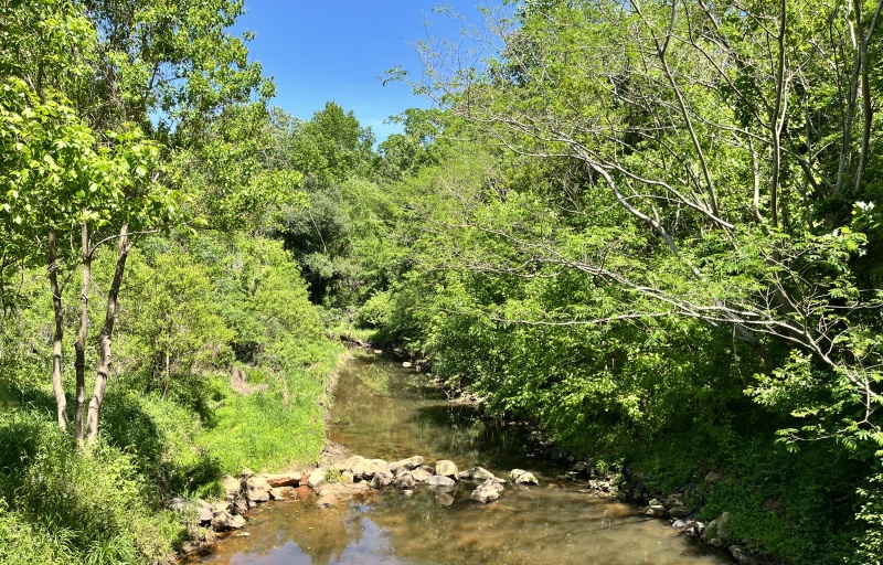 Creek at Mungo
