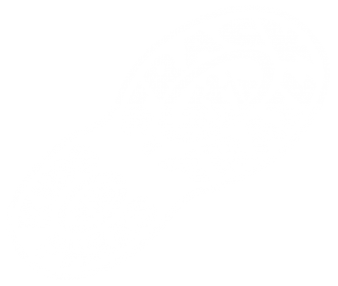 TRACK Trail logo White