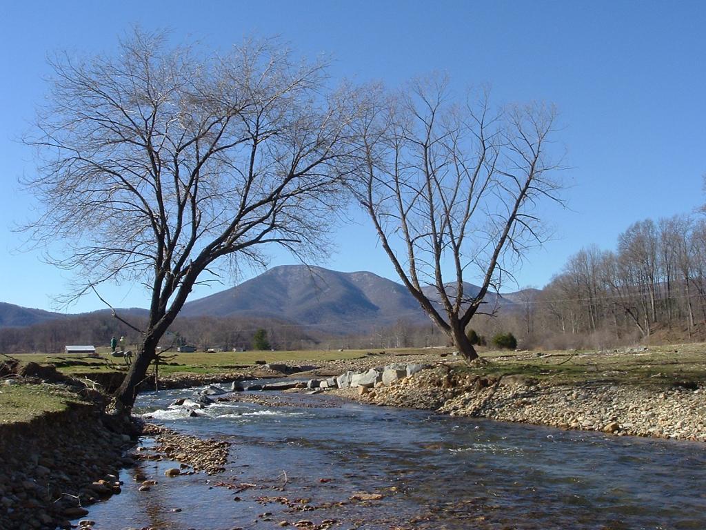 Rockfish Valley Kids in Parks
