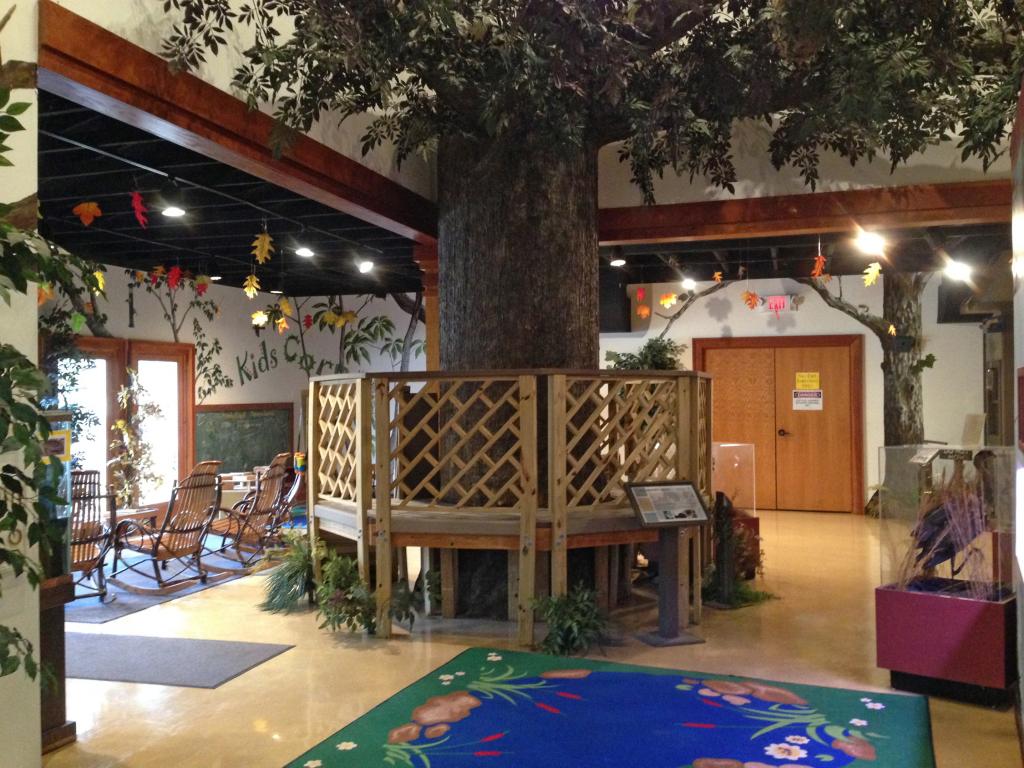 Reedy Creek Nature Preserve Kids in Parks