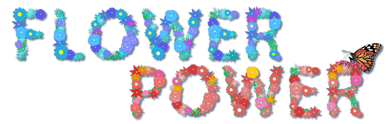 Flower Power banner