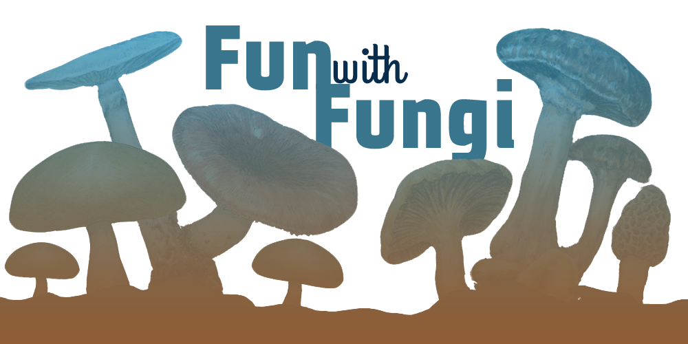 Fun with Fungi Header