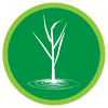 Marsh Icon