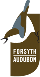 Forsyth Audubon