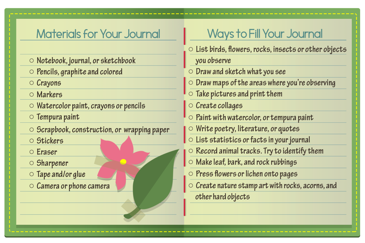 How To Start A Nature Journal - A Beginners Guide