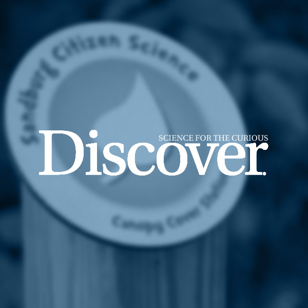 "The Poetry of Science at the Carl Sandburg Home National Historic Site" - Discover Magazine article