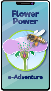 Flower Power e-Adventure