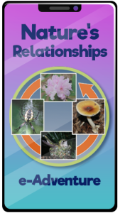 Nature's Relationships e-Adventure