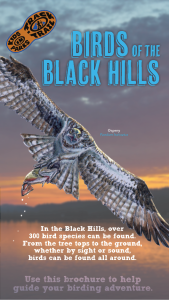 Birds of Black Hills Thumbnail
