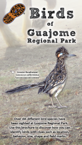 Birds of Guajome Park Thumbnail