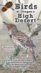 Birds of High Desert Thumbnail