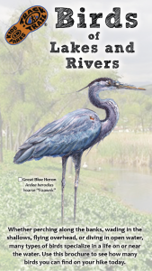 Birds of Lakes & Rivers Thumbnail