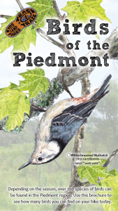 Birds of the Piedmont Thumbnail