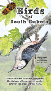 Birds of South Dakota Thumbnail