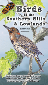 Birds of Southern Hills Thumbnail