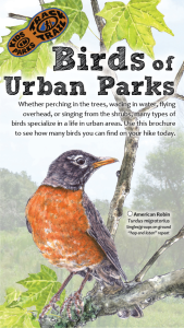 Birds of Urban Parks Thumbnail