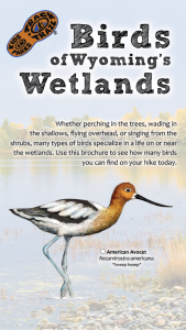 Birds of Wyoming Wetlands Thumbnail