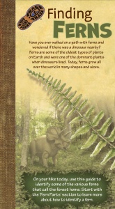 Finding Ferns