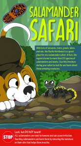 Salamander Safari brochure cover