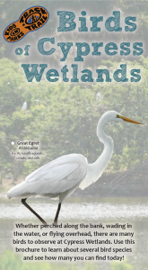 Cypress Wetlands Cover