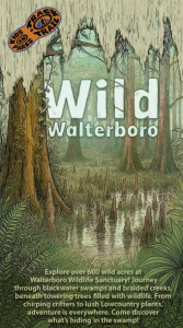 Wild Walterboro Cover