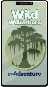 Walterboro eAdventure Thumbnail