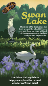 Swan Lake Brochure Cover