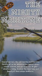 Mighty Maritime brochure cover, featuring a salt marsh