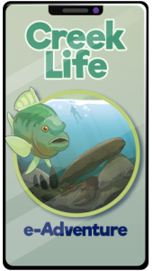 Creek Life eAdventure