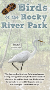 Birds of Rocky River Park brochure cover