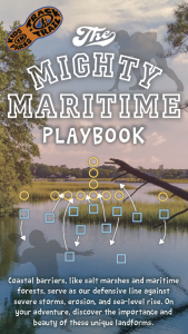 The Mighty Maritime brochure cover with football themes throughout