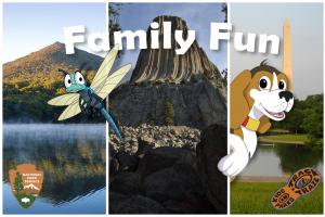 Family Fun