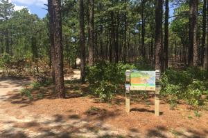 Weymouth Woods TRACK Trail
