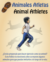 Bilingual Animal Athletes brochure thumbnail