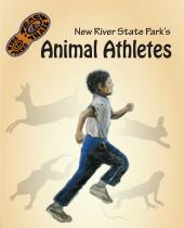 Animal Athletes brochure