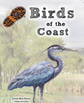 Birds of the Coast brochure