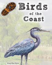 Birds of the Coast brochure