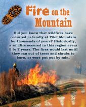 Fire on the Mountain brochure