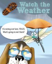 Kindergarten Weather Brochure Thumbnail