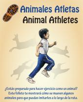 Bilingual Animal Athletes brochure