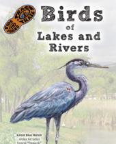 Birds of Lakes and Rivers brochure