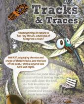 Fort Laramie Tracks and Traces brochure