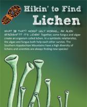 Hikin' to find Lichen brochure