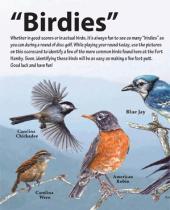 "Birdies" disc golf scorecard