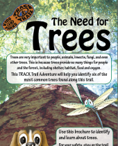The Need for Trees brochure