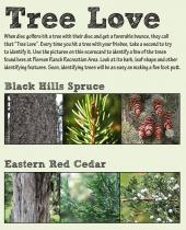 Tree Love scorecard thumbnail
