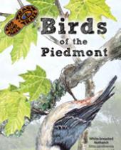 Birds of the Piedmont brochure